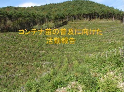 コンテナ苗の普及に向けた活動報告