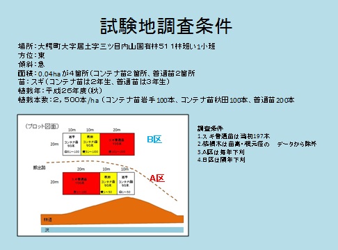 コンテナ苗試験地の調査結果