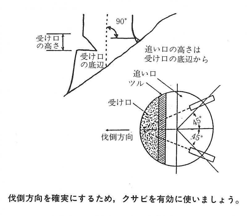 追い口切り