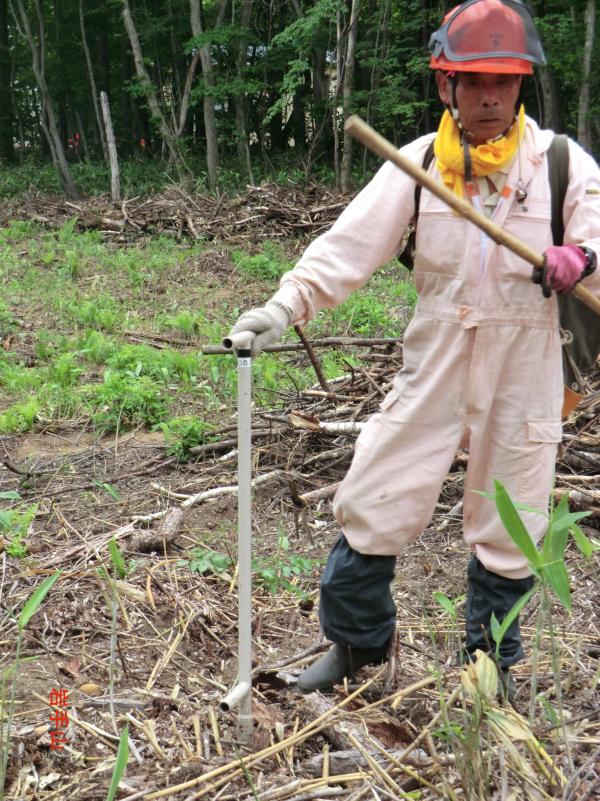 植付け場所決め