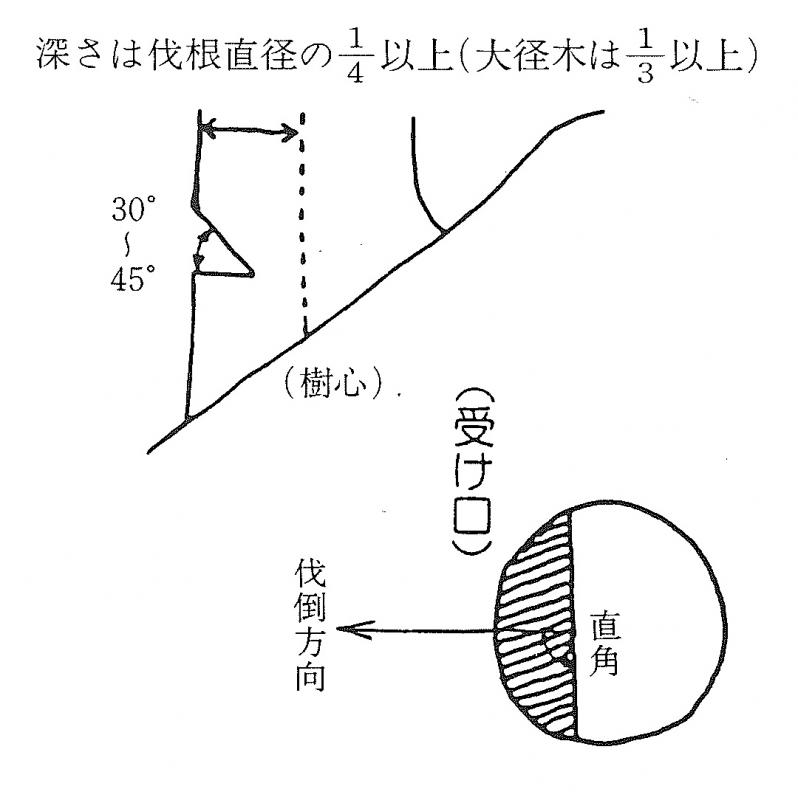 受け口切り