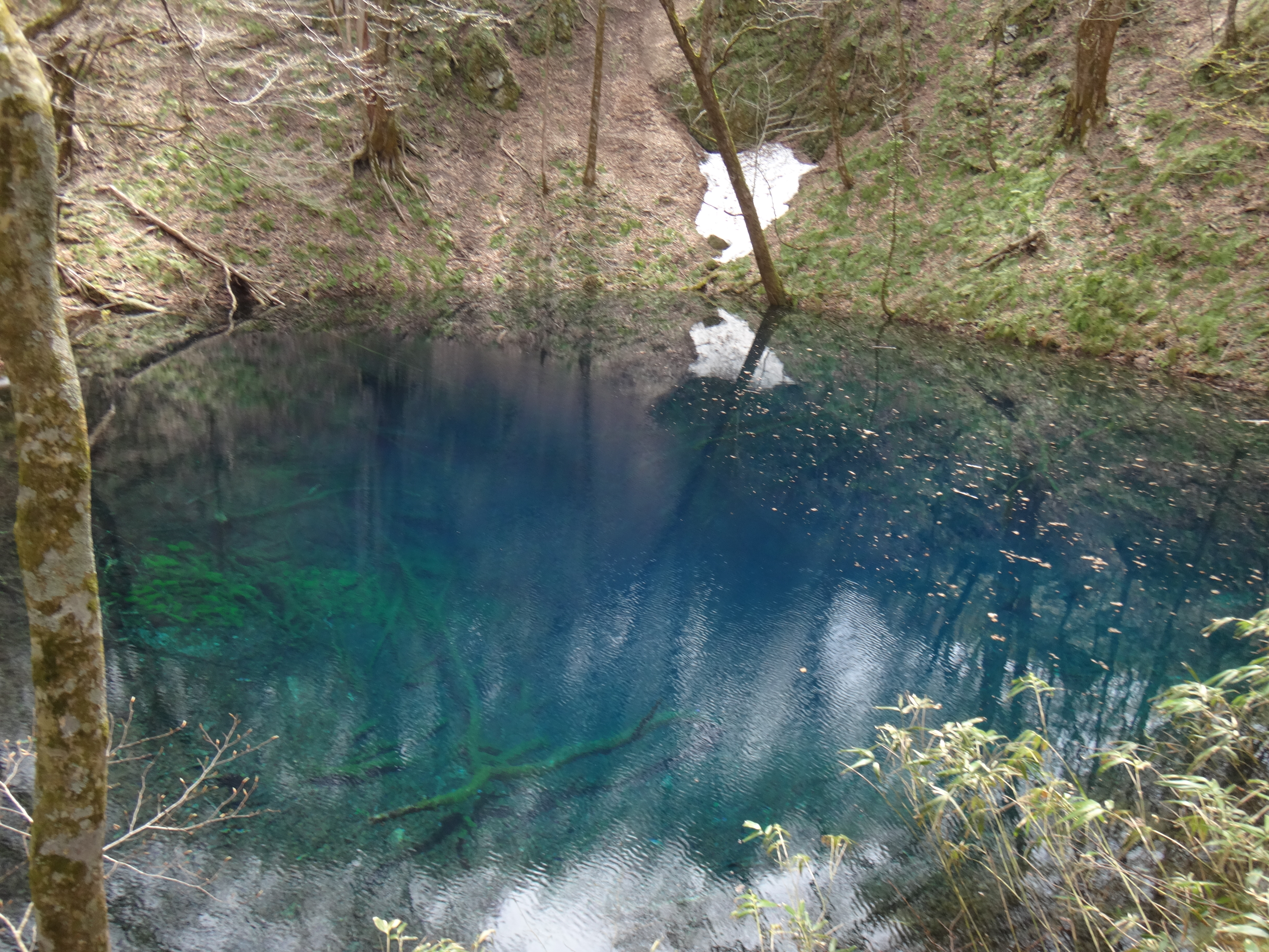 青池