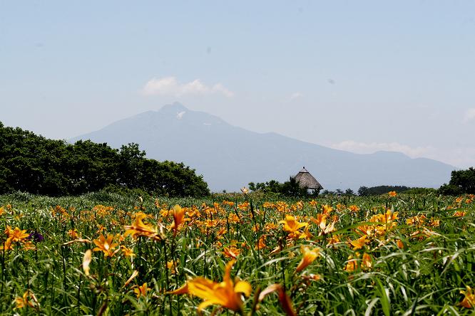 ベンセ湿原からの岩木山