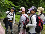 小学生森林教室