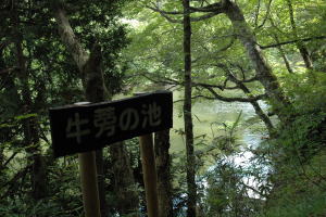 牛蒡の池01（看板）