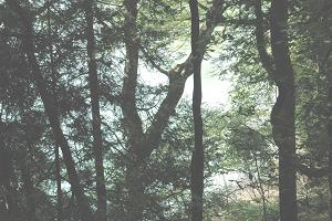 日暮の池