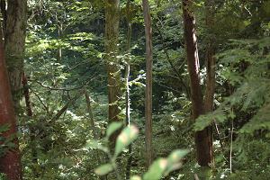 埋釜の池