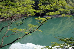 金山の池02