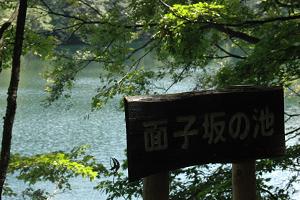 面子坂の池01（看板）