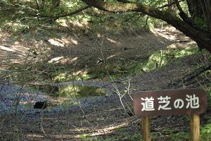 道芝の池