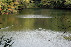 中の池