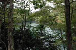 王池 西湖