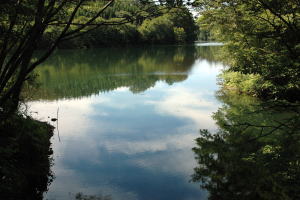 大池 東湖01