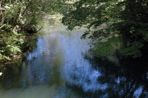 大池 東湖02