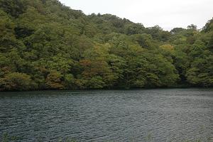 落口の池