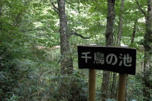 千鳥の池01（看板）