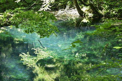 沸壺の池