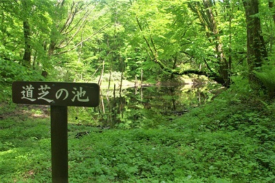 道芝の池