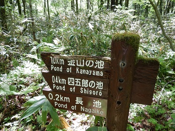 分岐路での標識