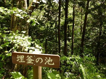 埋釜の池