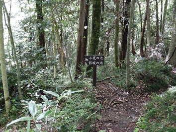 小夜、影坂の池入口