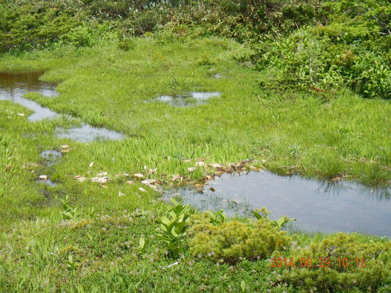 大雨の後