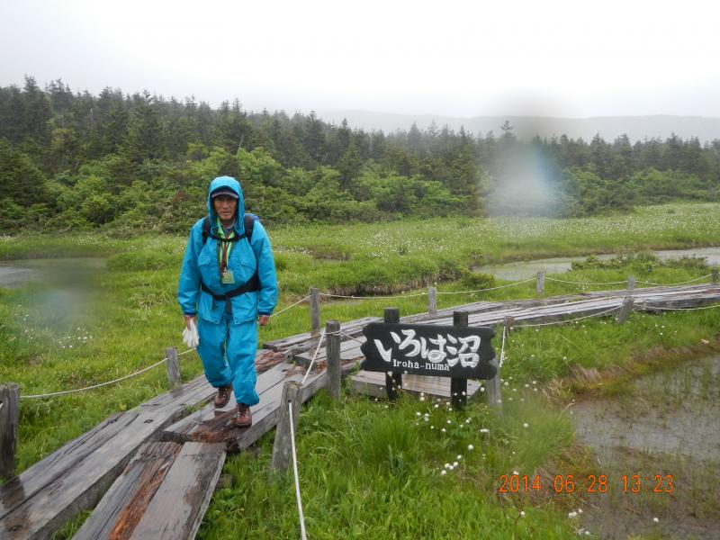 雨の日のパトロール