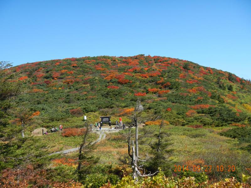 紅葉が見頃