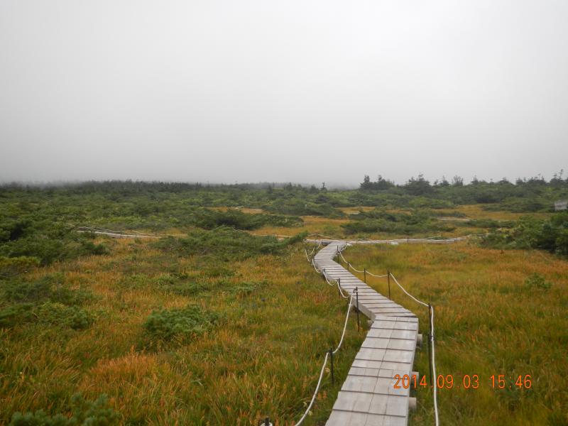 静寂の御田ノ神湿原