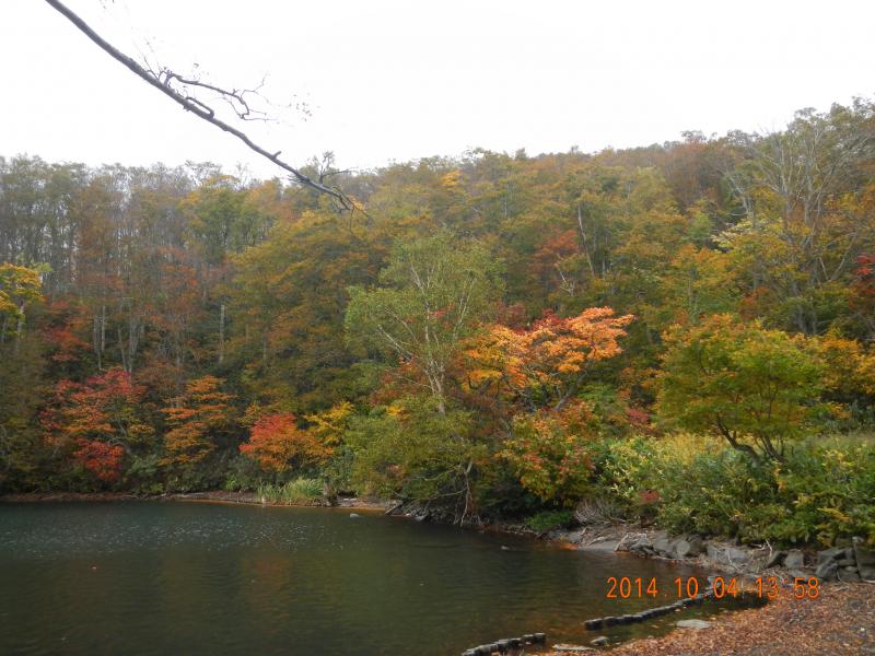 ドッコ沼の紅葉