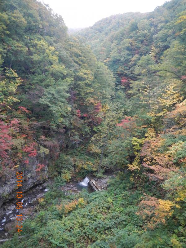 仙人沢つりばしより上流を望む