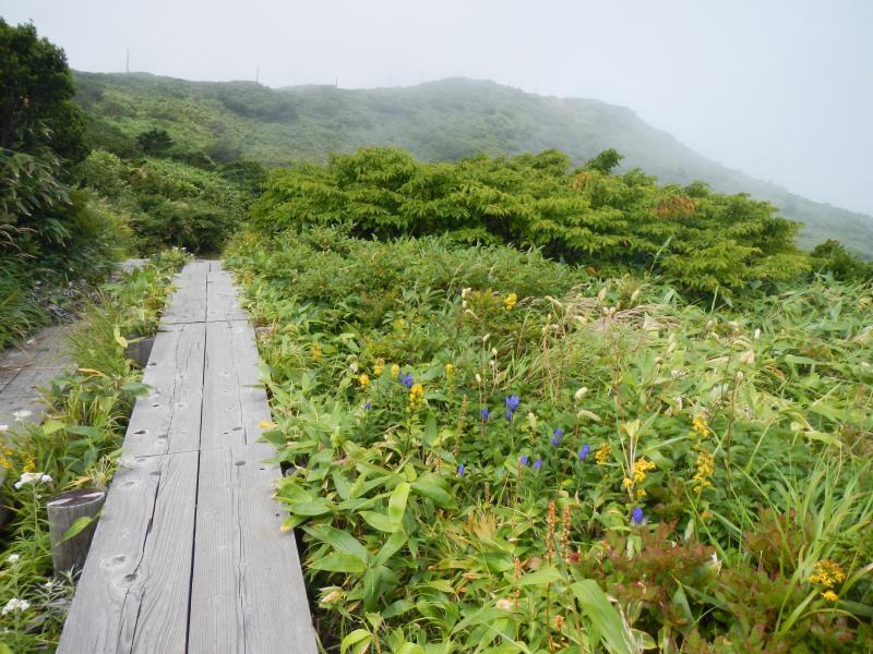 熊野岳へ向かう登山道