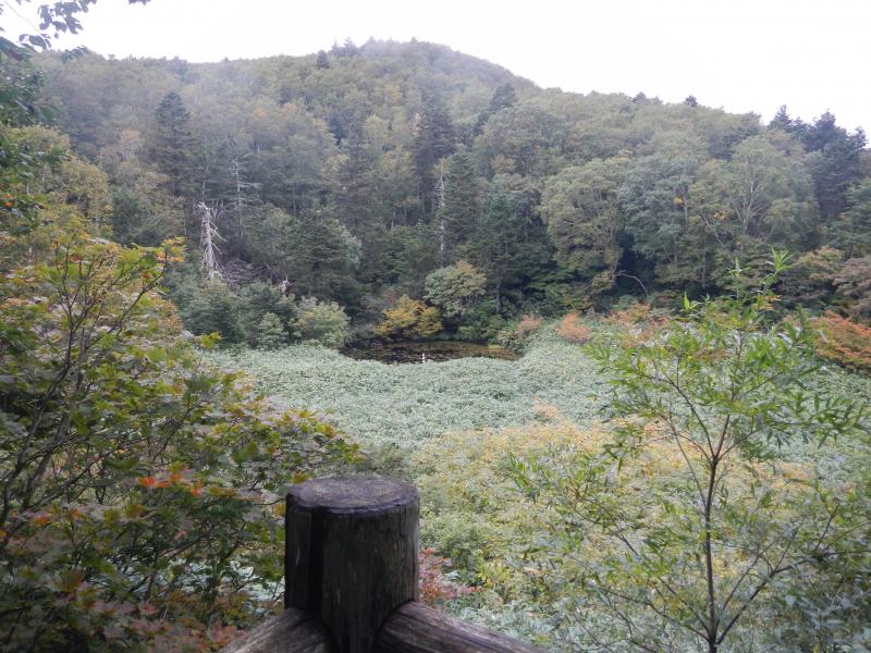 目玉沼_270919