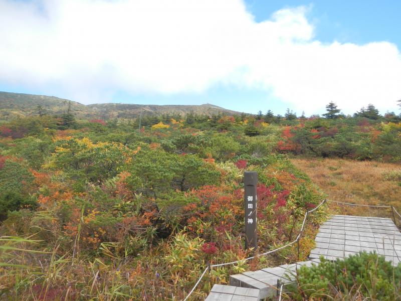 御田の神湿原の紅葉_270920