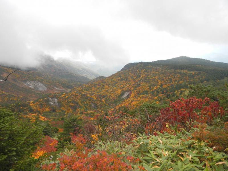 黒姫の紅葉_270927