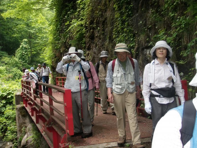 これまでの森林浴の様子はこちら