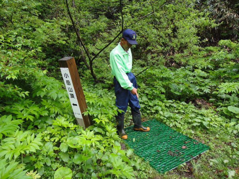 小岳登山道（新道入り口）