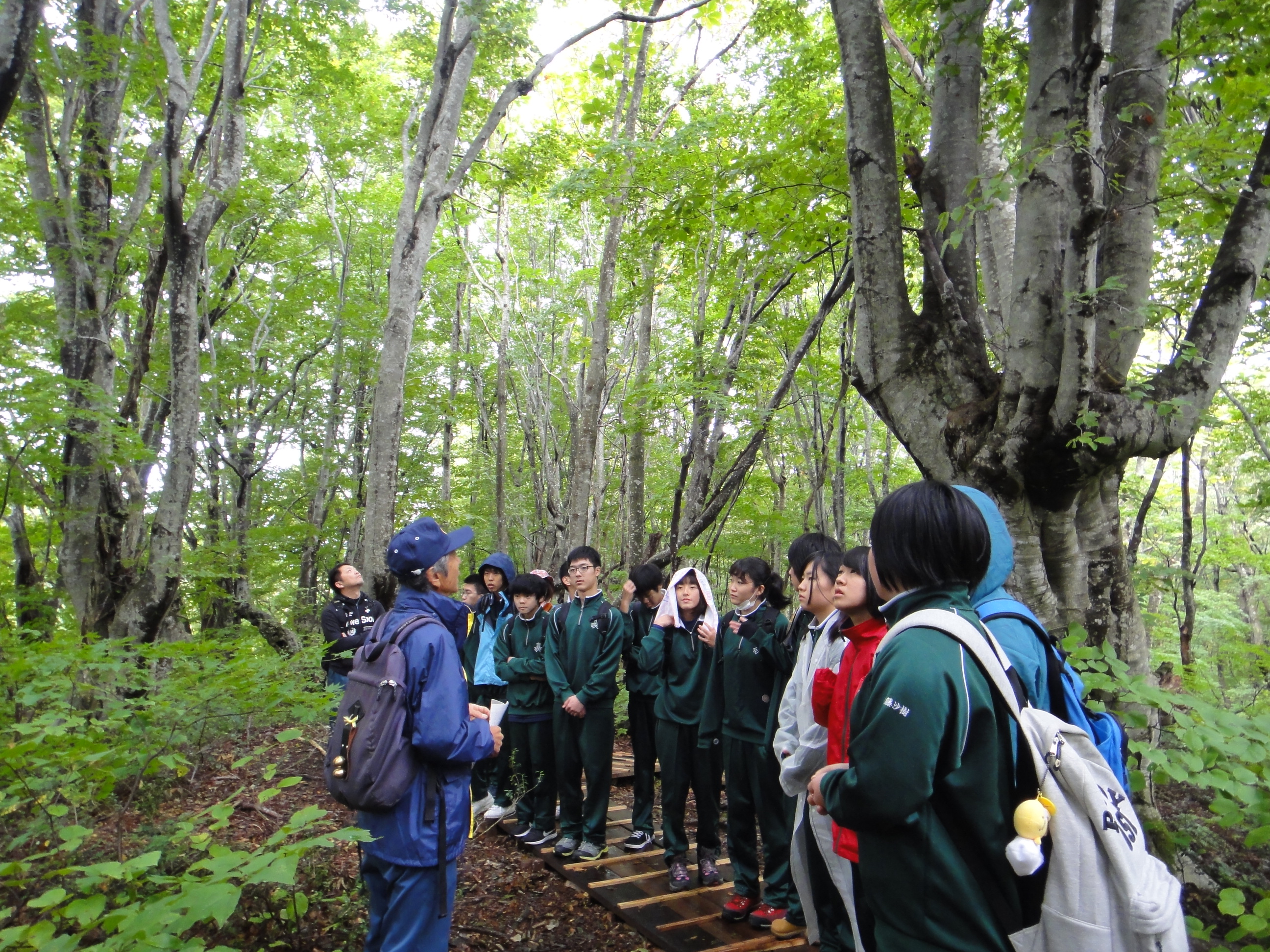 森林環境教育