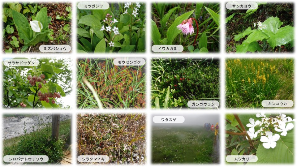 【レクリエーションの森005】昭和湖